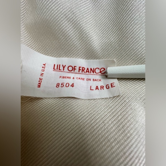 Vintage Lily of France Nylon Pleated Puff Sleeve Lace Heart Waterfall Back Gown - Picture 7 of 8